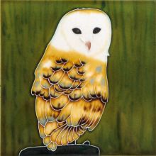 Barn Owl 8x8