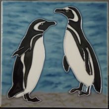 Magellanic Penguins 6x6