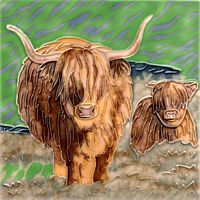 Highland Cows 6x6