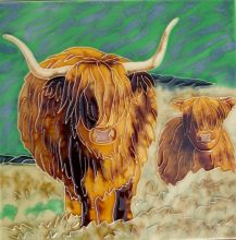 Highland Cows 8x8