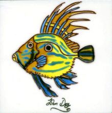 John Dory 6x6