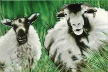 Sheep 8x12