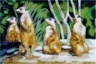 Meerkats 8x12