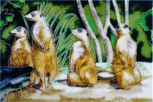 Meerkats 8x12