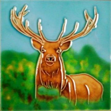 Red Deer Stag 4x4