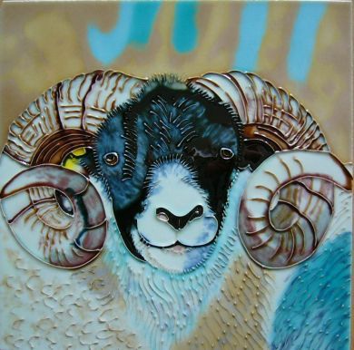 Blackface Tup 8x8