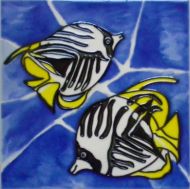 Butterfly fish 6x6