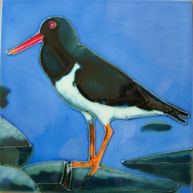 Oystercatcher 8x8