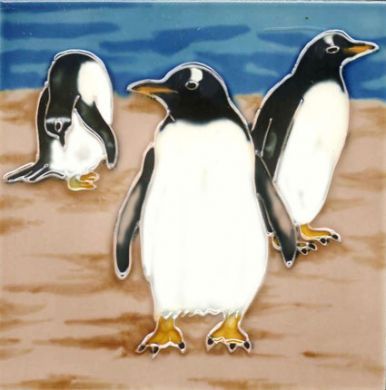 Gentoo Penguin 6x6