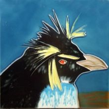 Rockhopper Penguin 6x6