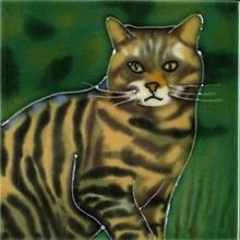 Scottish Wildcat 4x4