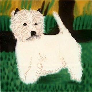 West Highland Terrier 8x8